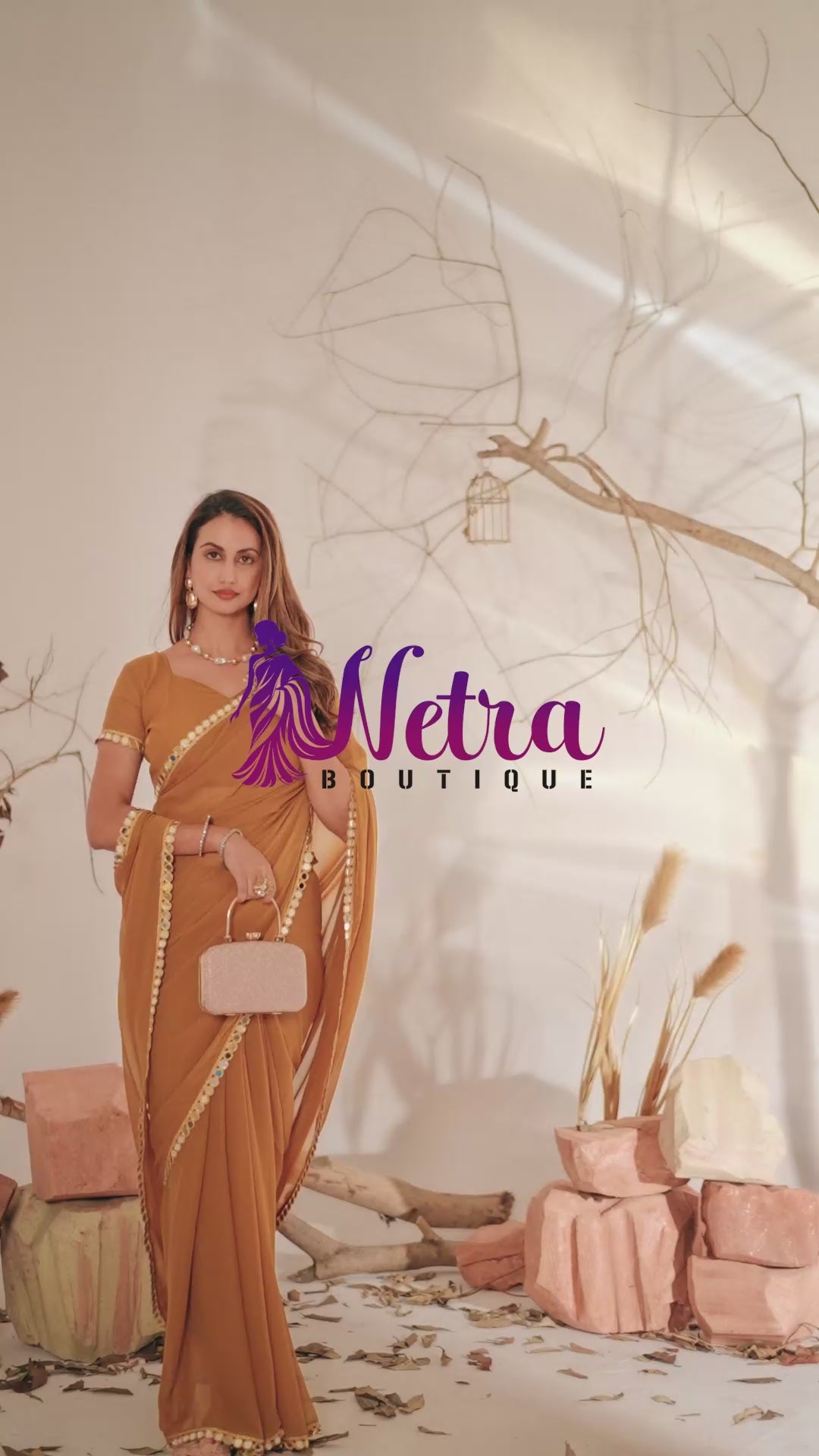 Georgette Saree with Mirror Work Border